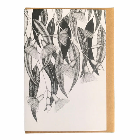 Flowering Gum