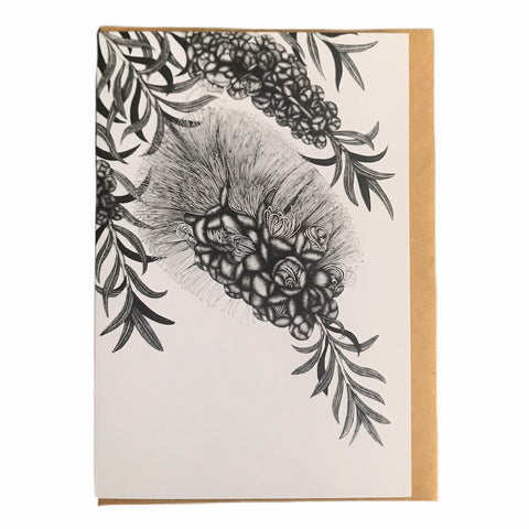Bottlebrush