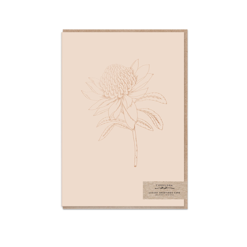 Nude Waratah
