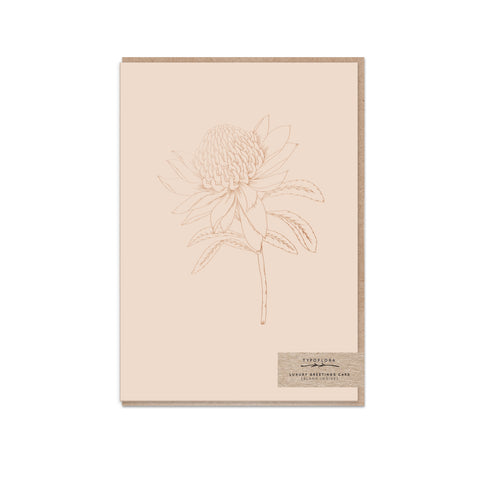 Nude Waratah